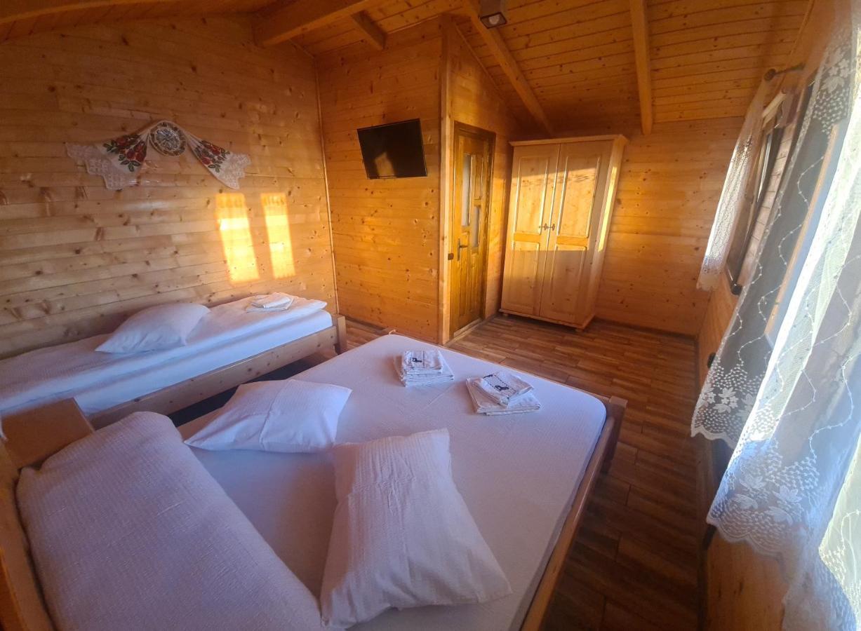 Pensiunea Anisoara Chiscau Exterior foto