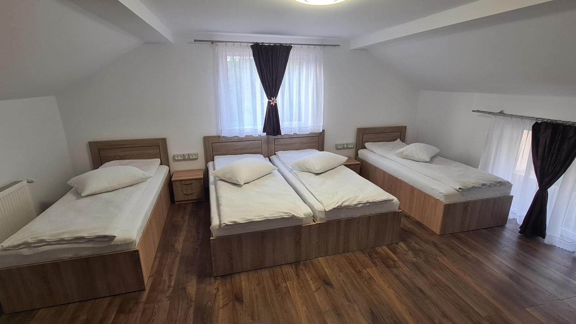Pensiunea Anisoara Chiscau Exterior foto